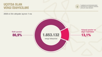 Bu il 11 minə yaxın şirkət dövlət qeydiyyatından keçib, cəmi sayı 200 mini aşıb | FED.az
