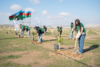 Trendyol və PAŞA “Holding”in təşəbbüsü ilə 12 mindən çox ağac əkilib -[red] FOTOLAR[/red] | FED.az