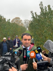 Nektarin və badam bağlarına dəymiş zərər üzrə təqribən 1 milyon manat sığorta ödənişi edilib | FED.az