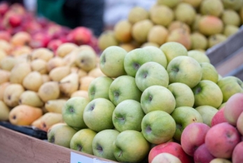 Bakıda hər həftəsonu “KOB bazar” adlı satış yarmarkası keçiriləcək