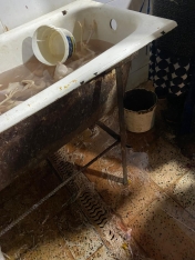 Xırdalanda 2 min toyuğun qanunsuz kəsildiyi sex bağlandı - FOTOLAR | FED.az