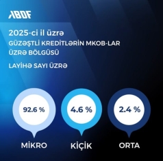 Güzəştli kreditlərdən hansı sahibkarların daha çox yararlandığı açıqlandı | FED.az