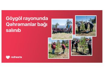 В Гёйгёле реализована акция «Qəhrəmanlar bağı»