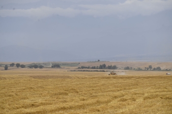 Taxıl
