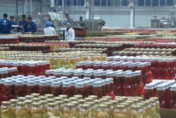 Azərbaycanın konserv şirkətinin rəhbərliyi formalaşdırılacaq