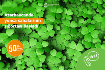 Azərbaycanda yonca sahələrinin sığortalanması başlandı – ŞƏRTLƏR, QİYMƏTLƏR