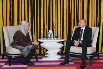 İlham Əliyev Rokfeller Foundunun vitse-prezidenti ilə görüşdü - FOTO | FED.az