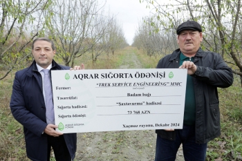 Azərbaycanda meyvə bağlarının aqrar sığortası mövsümü başlayır – ŞƏRTLƏR, MƏBLƏĞLƏR | FED.az