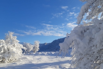 Sabah Bakıda hava yağıntılı olacaq, bölgələrə qar yağacaq