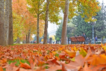 Sabahın hava proqnozu - AÇIQLANDI