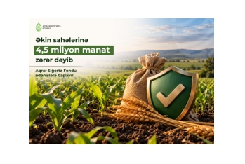 Əkin sahələrinə 4,5 milyon manat zərər dəyib – Aqrar Sığorta Fondu ödənişlərə başlayır