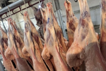 Azərbaycanda bəzi yerlərdə ət ucuzlaşdı - QİYMƏTLƏR
