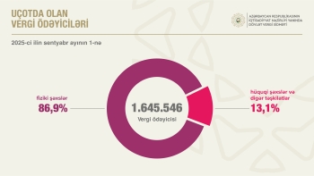 Azərbaycanda şirkətlərin sayı artaraq 200 minə yaxınlaşıb | FED.az