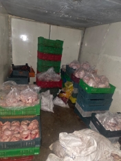 Toyuq ətini bu şəraitdə istehsal edirlərmiş - VİDEO | FED.az