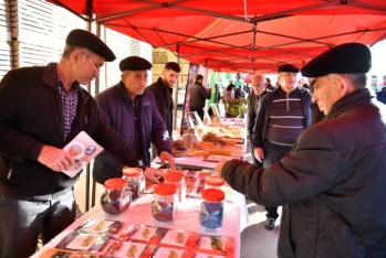 İstehsalçılar və fermerlər Tovuzda Aqrar İnnovasiya Festivalında bir araya gəliblər - FOTOLAR