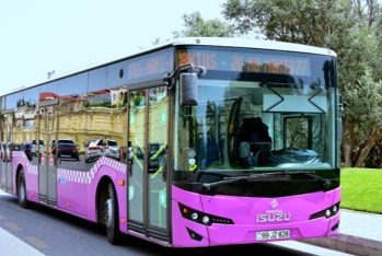 Artım yalnız bu avtobuslara aiddir