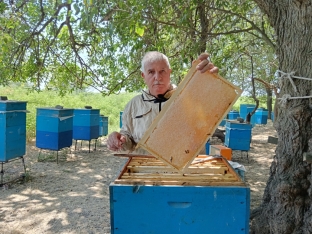 Arıçı: