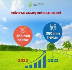 Aqrar Sığorta Fondu 2023-cü ilin nəticələrini - AÇIQLAYIB - VİDEO | FED.az