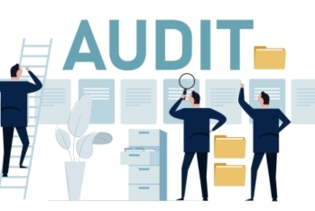 Dövlət Statistika Komitəsi auditor seçir