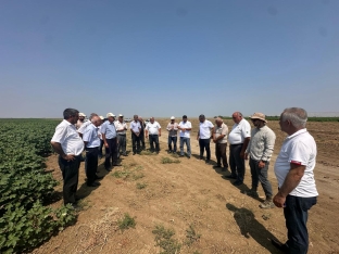 Prime Cotton Yevlax və Beyləqanda fermerlər üçün maarifləndirici tədbirlər keçirib | FED.az