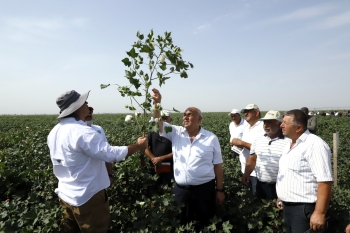 "Prime Cotton" pambıqçılar üçün ənənəvi “Açıq Tarla Günü”nü keçirdi -[red] FOTOLAR[/red] | FED.az