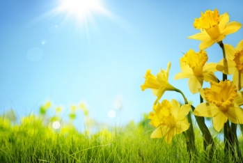 25 dərəcə isti - APRELİN İLK GÜNÜNÜN HAVA PROQNOZU