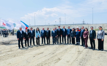 YAP-ın Sabunçu təşkilatı və “Balakhani Operating Company LTD”nin birgə təşəbbüsü ilə ağacəkmə aksiyası keçirilib | FED.az