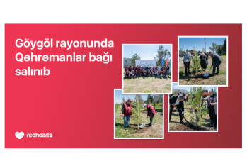 Göygöldə “Qəhrəmanlar bağı” aksiyası - HƏYATA KEÇİRİLİB