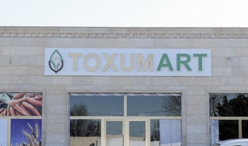 Daha bir -  “ToxumArt” MAĞAZASI AÇILDI