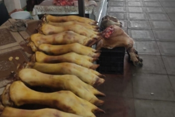 “Şəki Bazar"da ət satışında - Nöqsanlar Tapıldı
