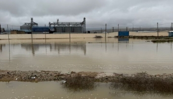 "Sitalçayda acınacaqlı vəziyyət - quşçuluq təsərrüfatları fəaliyyətlərini dayandırmaq üzrədilər" - FOTOLAR | FED.az