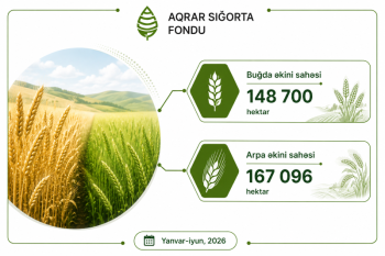 Fermerlər 16,3 milyon manat ödəyib, 482,4 milyon manatlıq təminat alıblar –[red] AQRAR SIĞORTA [/red] | FED.az