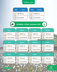 Pambıq yığımında orta məhsuldarlıq 33 sentnerə çatır - OPERATİV MƏLUMAT | FED.az