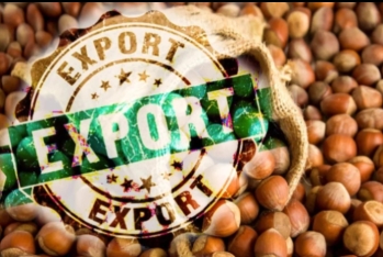 1-ci qızıl, 2-ci fındıq, 3-cü mis – Ən çox valyuta gətirən məhsullar – TAM SİYAHI