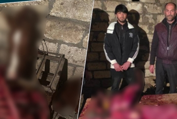 146 kq at ətini mal əti adı ilə Bakıda satacaqdılar - Fotolar