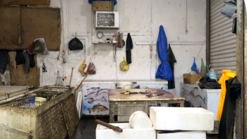 8-ci km bazarında balıq kürüsü satışında ciddi nöqsanlar aşkarlanıb - FOTOLAR | FED.az