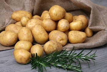 Kartofun qiyməti bahalaşıb – VİDEO