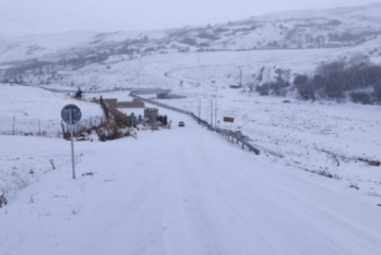 Zaqatalada qarın hündürlüyü 30 sm-dir - FAKTİKİ HAVA