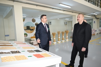Sabirabad Sənaye Məhəlləsində toxum istehsalı müəssisəsinin fəaliyyəti ilə tanışlıq | FED.az