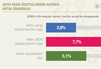 Azərbaycanda aktiv ƏDV ödəyicilərinin sayı 60 minə çatıb | FED.az