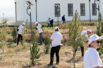 “AzInTelecom” Ağdamda ağacəkmə aksiyası keçirib | FED.az