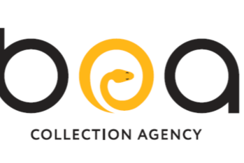 Azərbaycanın kollektor agentliyi - YIĞINCAQ KEÇİRƏCƏK