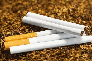 Azərbaycan tütün idxalına çəkdiyi xərci azaldıb