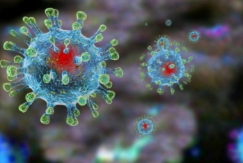Koronavirus pandemiyasının bitəcəyi - TARİX AÇIQLANDI