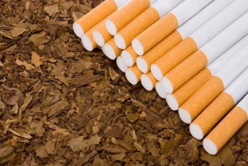 Azərbaycan tütün ixracını - 92% ARTIRIB
