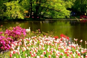 Bakıda 21, rayonlarda 23 dərəcə isti -  ŞƏNBƏ GÜNÜNÜN HAVA PROQNOZU