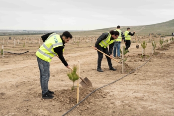 VTB (Azərbaycan) Müşfiqabadda ekoloji kampaniyada - [red]İŞTİRAK ETDİ[/red] | FED.az