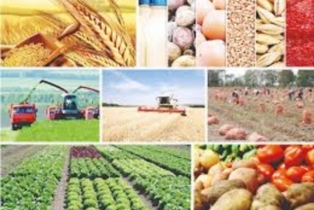 Azərbaycanda iqtisadiyyatı ən çox kiçilən - 10 RAYON