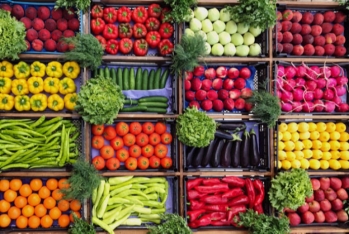 Kənd təsərrüfatı mallarının ixracı - MİLYARD DOLLARA YAXINLAŞIR 