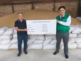 Cəmi 151 manat ödəyib, minlərlə manat sığorta ödənişi aldılar - Aqrar Sığortadan açıqlama | FED.az